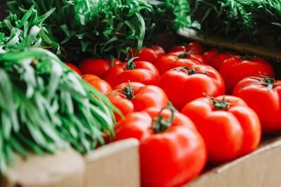 img agrifood pegaso management