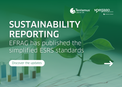 Pegaso news rendicontazione sostenibile ESRS semplificati eng
