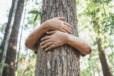 A woman stand behind and give a hug to the old tree in the tropical forest